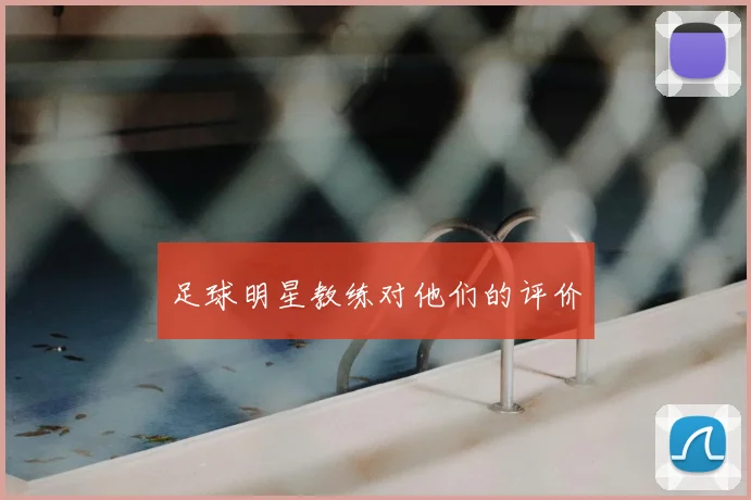 足球明星教练对他们的评价