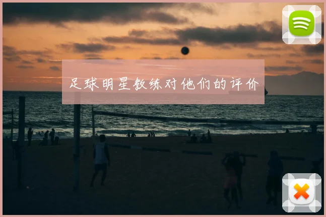 足球明星教练对他们的评价