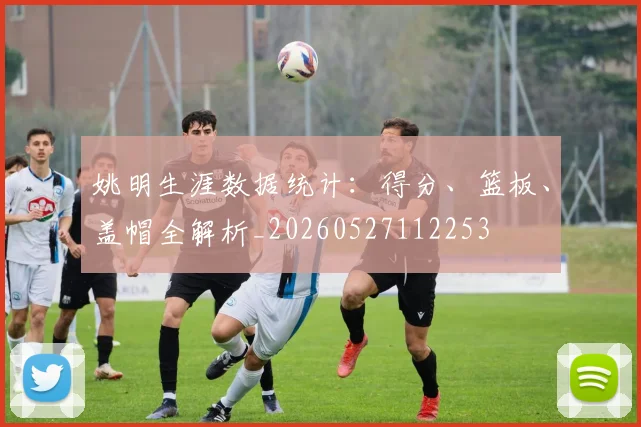 姚明生涯数据统计：得分、篮板、盖帽全解析_20260527112253